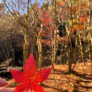 ヒメ日記 2025/11/30 19:07 投稿 白咲 りん SUMIRE