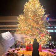 ヒメ日記 2025/12/15 01:39 投稿 白咲 りん SUMIRE