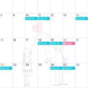 ヒメ日記 2026/02/19 19:02 投稿 白咲 りん SUMIRE