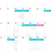 ヒメ日記 2026/02/27 19:01 投稿 白咲 りん SUMIRE