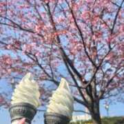 ヒメ日記 2026/04/01 19:01 投稿 白咲 りん SUMIRE