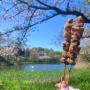 ヒメ日記 2026/04/08 19:03 投稿 白咲 りん SUMIRE