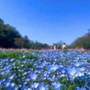 ヒメ日記 2026/04/12 19:19 投稿 白咲 りん SUMIRE