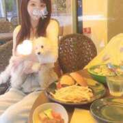 ヒメ日記 2026/05/15 20:50 投稿 白咲 りん SUMIRE
