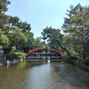 ヒメ日記 2025/09/14 11:18 投稿 みさ 熟女の風俗最終章 沼津店