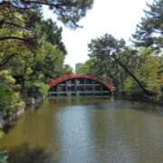 ヒメ日記 2025/09/14 11:28 投稿 みさ 熟女の風俗最終章 沼津店