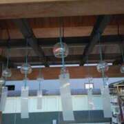 ヒメ日記 2025/09/17 00:18 投稿 みさ 熟女の風俗最終章 沼津店