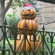 ヒメ日記 2025/09/26 12:55 投稿 ゆう 池袋マリン別館