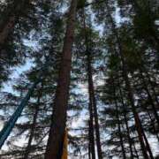 ななみ こんばんは🌕 東京メンズボディクリニック TMBC 渋谷店