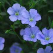 ヒメ日記 2026/03/16 11:06 投稿 ななみ 東京メンズボディクリニック TMBC 渋谷店