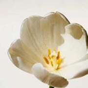 ななみ こんばんは🌕 東京メンズボディクリニック TMBC 渋谷店