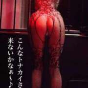 ヒメ日記 2025/12/23 11:55 投稿 ミサト 中洲秘密倶楽部