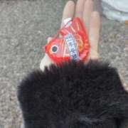 ヒメ日記 2025/11/21 13:41 投稿 なみ マリン土浦本店