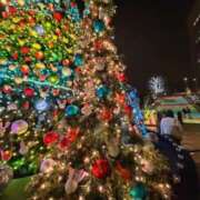 ヒメ日記 2025/12/03 00:11 投稿 なみ マリン土浦本店