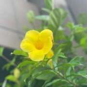 ヒメ日記 2025/08/10 21:53 投稿 峯岸(みねぎし) 大牟田デリヘル倶楽部