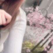 ヒメ日記 2026/03/30 08:55 投稿 峯岸(みねぎし) 大牟田デリヘル倶楽部