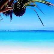 ヒメ日記 2025/08/03 20:41 投稿 そら 出会い系人妻ネットワーク 上野〜大塚編