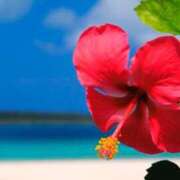 ヒメ日記 2025/08/04 17:10 投稿 そら 出会い系人妻ネットワーク 上野〜大塚編