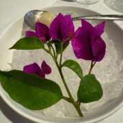 ヒメ日記 2025/08/21 13:19 投稿 そら 出会い系人妻ネットワーク 上野〜大塚編