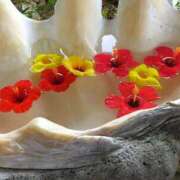 ヒメ日記 2025/08/24 17:03 投稿 そら 出会い系人妻ネットワーク 上野〜大塚編