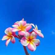 ヒメ日記 2025/10/06 10:42 投稿 そら 出会い系人妻ネットワーク 上野〜大塚編