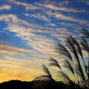 ヒメ日記 2025/10/14 18:35 投稿 そら 出会い系人妻ネットワーク 上野〜大塚編