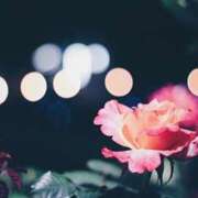 ヒメ日記 2025/10/18 14:23 投稿 そら 出会い系人妻ネットワーク 上野〜大塚編