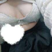 ヒメ日記 2025/09/12 17:44 投稿 ひらり フィエスタ