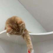 ヒメ日記 2025/08/06 23:18 投稿 神崎 あや ホットアロマ