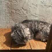 ヒメ日記 2025/10/11 21:11 投稿 神崎 あや ホットアロマ