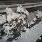 ヒメ日記 2026/02/10 20:20 投稿 ゆり BABY LIPS