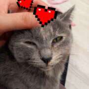 ゆり 週末 BABY LIPS