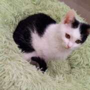 ゆり お疲れ様です BABY LIPS