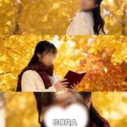 ヒメ日記 2025/11/04 14:01 投稿 香月そら ミセスレディ