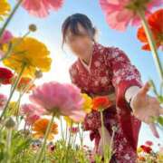 ヒメ日記 2026/04/01 19:16 投稿 香月そら ミセスレディ