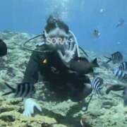ヒメ日記 2026/07/13 14:01 投稿 香月そら ミセスレディ
