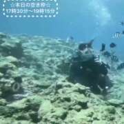ヒメ日記 2026/07/30 14:01 投稿 香月そら ミセスレディ