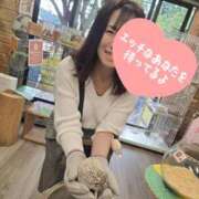 ヒメ日記 2025/11/09 10:05 投稿 ゆいか 丸妻 池袋店