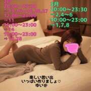 ヒメ日記 2026/02/16 11:05 投稿 ゆいか 丸妻 池袋店