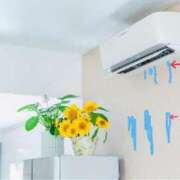 ヒメ日記 2025/09/19 01:46 投稿 夢原るい ミセスレディ