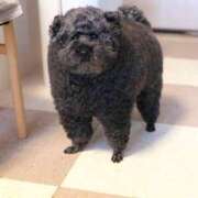 ヒメ日記 2025/09/28 01:46 投稿 夢原るい ミセスレディ