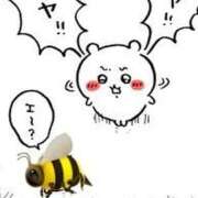 ヒメ日記 2025/10/10 19:31 投稿 夢原るい ミセスレディ