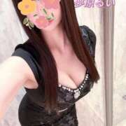 ヒメ日記 2025/10/25 08:46 投稿 夢原るい ミセスレディ