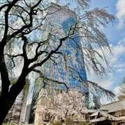 ヒメ日記 2026/03/30 15:46 投稿 夢原るい ミセスレディ