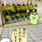 ヒメ日記 2026/06/30 16:01 投稿 夢原るい ミセスレディ
