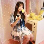 ヒメ日記 2025/09/10 20:21 投稿 いおり パイの巣