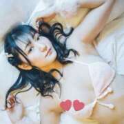 ヒメ日記 2025/09/16 19:00 投稿 いおり パイの巣