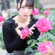 ヒメ日記 2025/10/28 20:19 投稿 いおり パイの巣