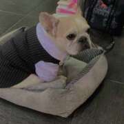 ヒメ日記 2025/08/06 19:35 投稿 こより パイの巣