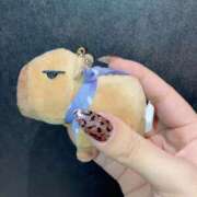 ヒメ日記 2025/08/14 19:45 投稿 こより パイの巣